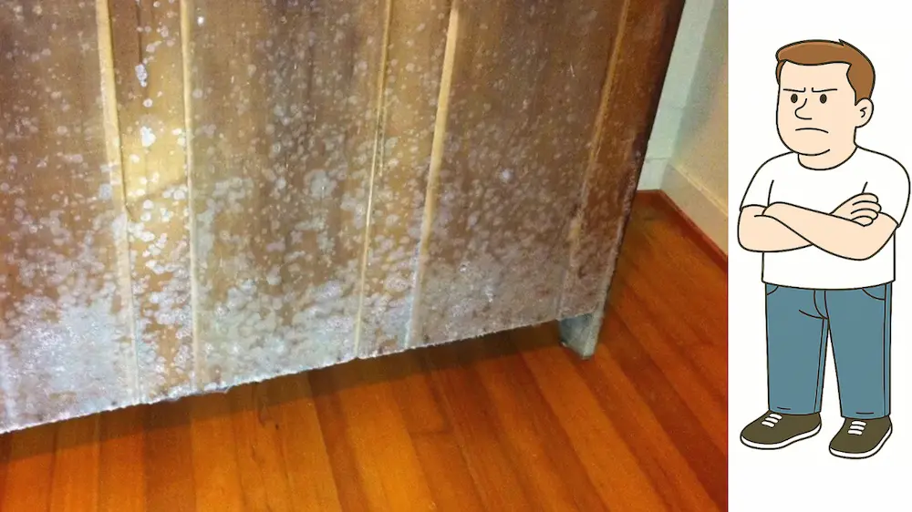 Schimmel2 Die Figur im Logo der Website betrachtet schimmelbeschädigte Möbel.